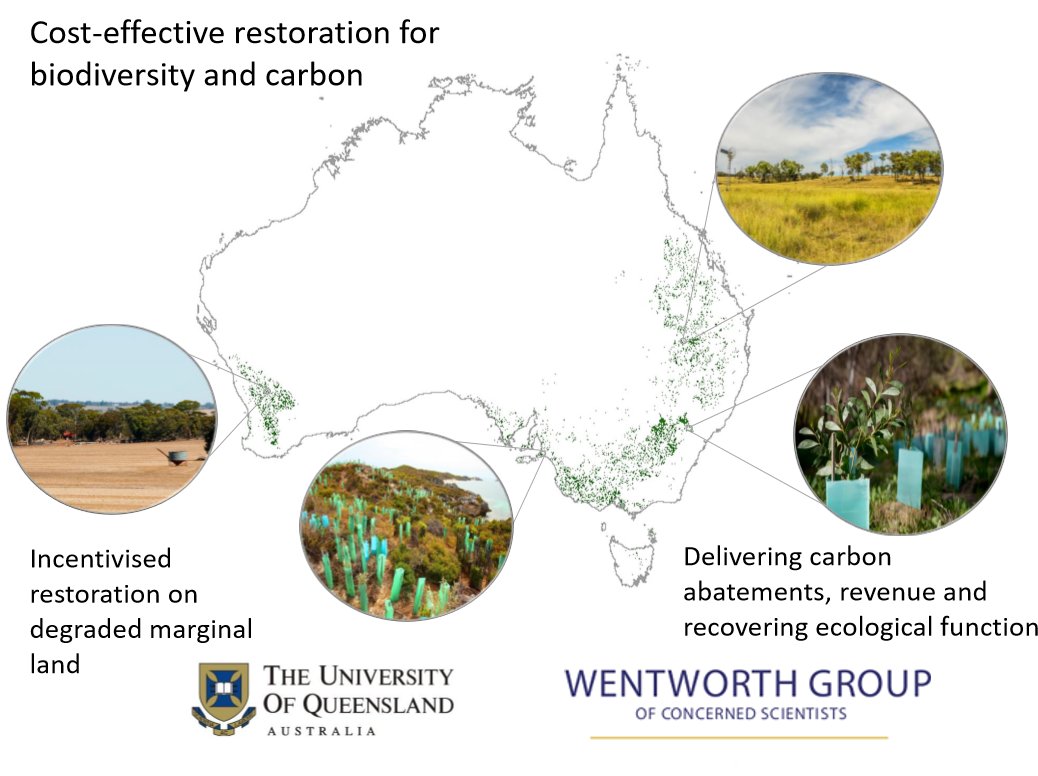 Journal of Applied Ecology (@jappliedecology) on Twitter photo New paper: The costs and benefits of restoring a continent's terrestrial ecosystems. <a href="/BonMappin/">Bonnie Mappin</a> et al. show that expected costs to restore Australia’s ecosystems to reach 30% vegetation coverage can be paid for by the expected #carbon revenue <a href="/HugePossum/">Hugh Possingham</a>
👉ow.ly/3HR550G9CCX New paper: The costs and benefits of restoring a continent's terrestrial ecosystems. <a href="/BonMappin/">Bonnie Mappin</a> et al. show that expected costs to restore Australia’s ecosystems to reach 30% vegetation coverage can be paid for by the expected #carbon revenue <a href="/HugePossum/">Hugh Possingham</a>
👉ow.ly/3HR550G9CCX