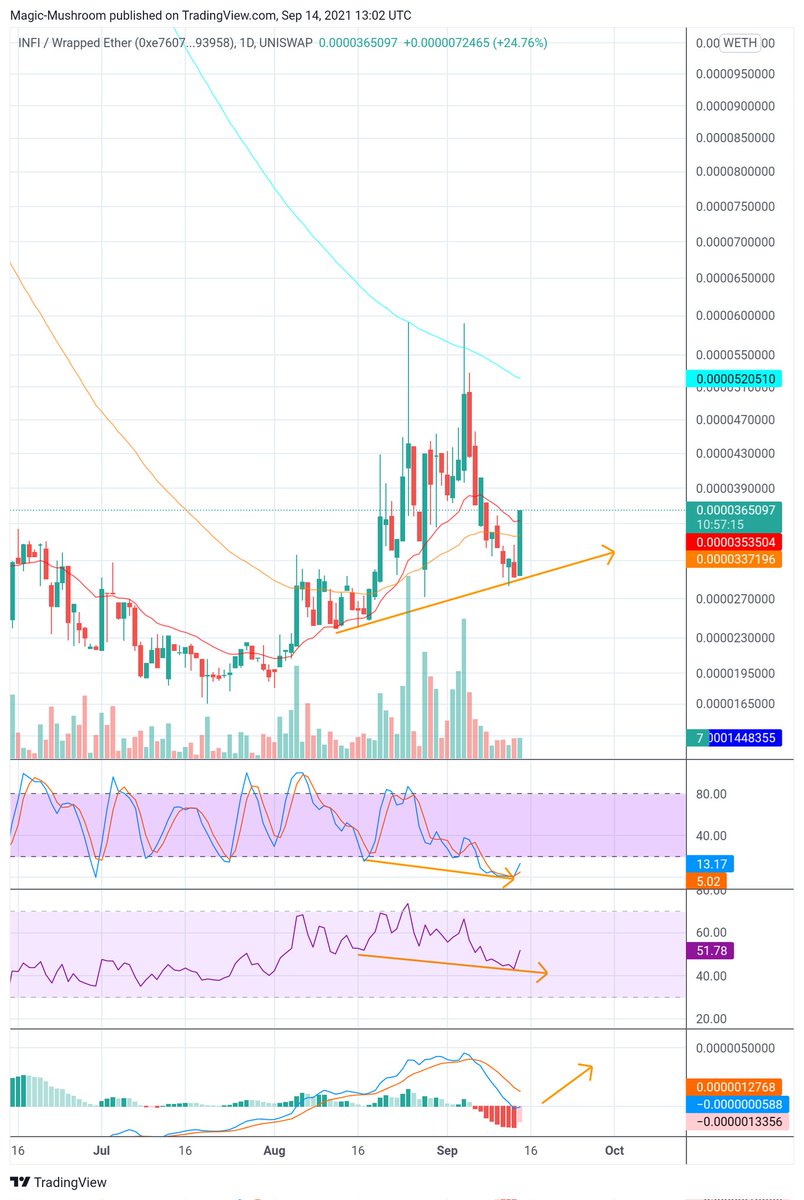 Magic Mushroom - With Crypto to Paradise 🏝️ tweet media