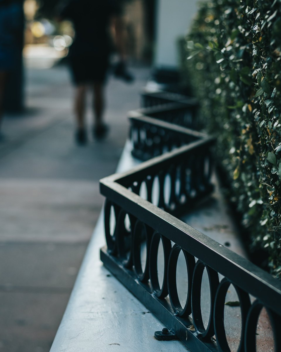 sjphoto21's tweet photo. Shots around Coral Gables 📷 

—
#photo #photography #photooftheday #pictureoftheday #pics #coralgables #cityofcoralgables #miami #photographer #miamiphotographers #miamiphotographer #florida #floridaphotographer #create #art #createandcapture #love #beauty #beautiful https://t.co/gL1RgMQKaM