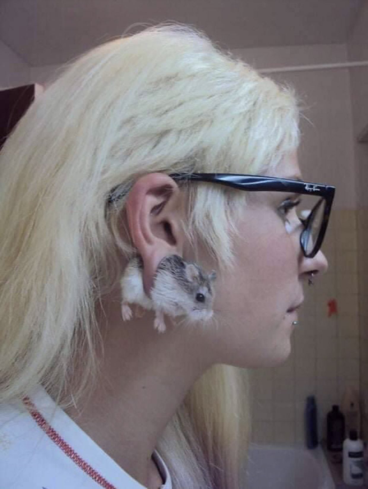 最多情報局 ピアス穴に挟まるハムスターが海外で話題に このハムは本物なのか T Co 9z7cbyix48 Twitter 最多情報局 ピアス穴に挟まるハムスターが海外で話題に このハムは本物なのか T Co 9z7cbyix48 Twitter