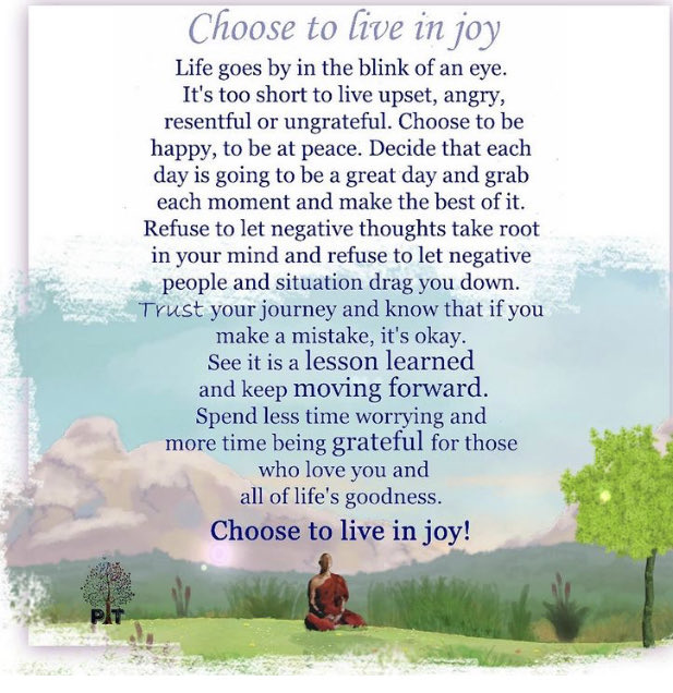 Patricia Codner tweet media