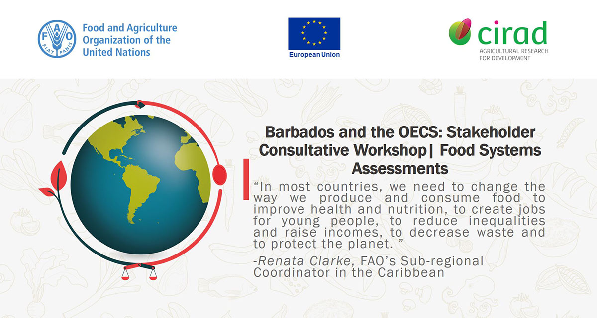 FAOCaribbean's tweet photo. #Barbados & the #OECS๐ง๐ง๐ฑ๐จ๐ป๐จ๐ฌ๐ฉ๐ฉ๐ฒ๐ฆ๐ฌ๐ฐ๐ณ#FoodSystems
#EUinBarbados
Renata Clarke, Sub-regional Coordinator, @FAOCaribbean spoke at FAO-EU-CIRAD stakeholder consultation workshop on the importance of changing the way we consume & produce food.
#FoodSystemsAssessment https://t.co/SelySxEzIi
