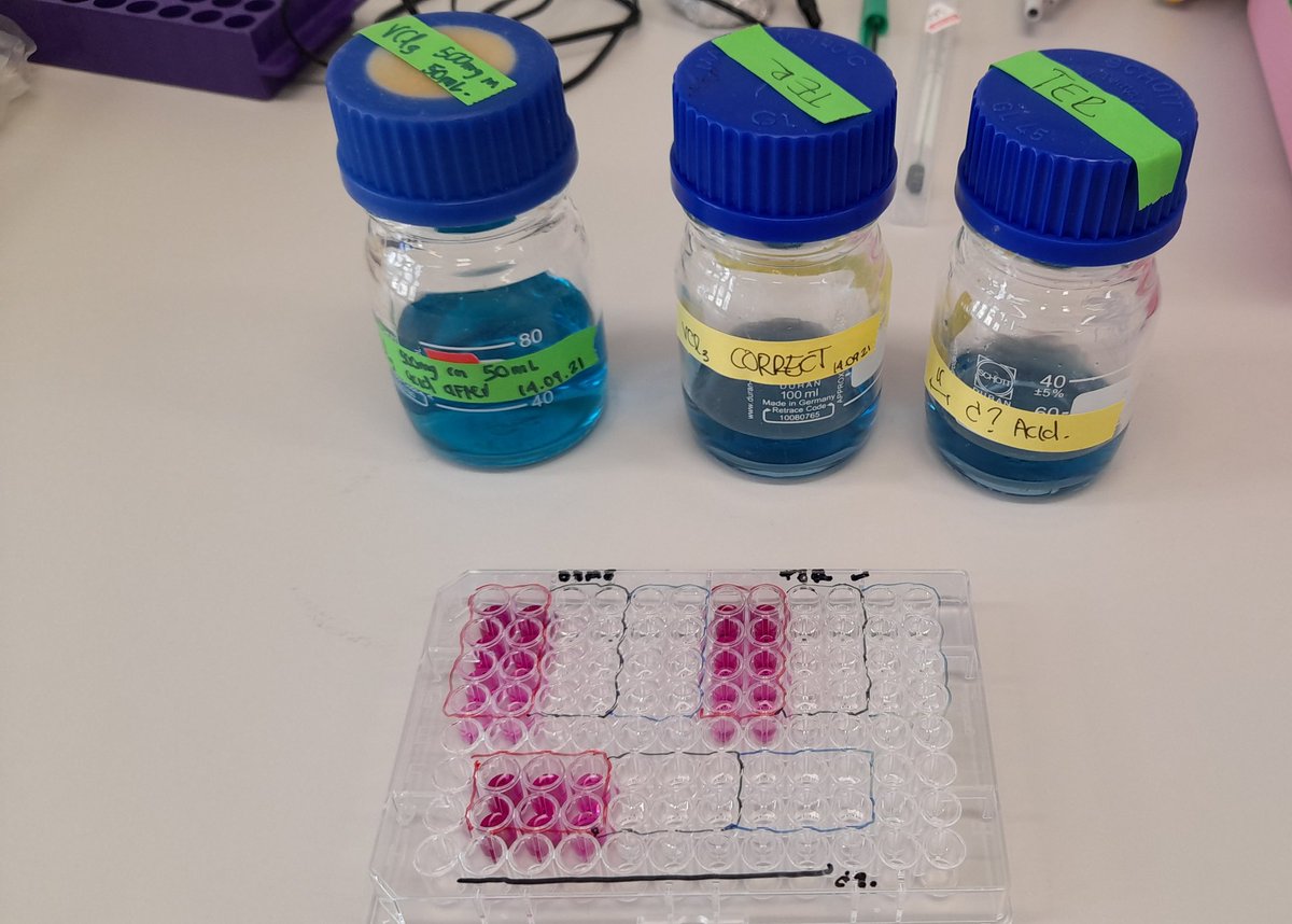 PaulaAnRo2010's tweet photo. And here we are, troubleshooting again 😅😁. I must have share it because the mystery is now solved (pic2.): Vanadium Chloride was off. 

#colorfultroubleshooting #scienceincolors https://t.co/TyKhQOP7Dg