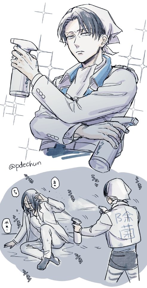 きれいきれいする