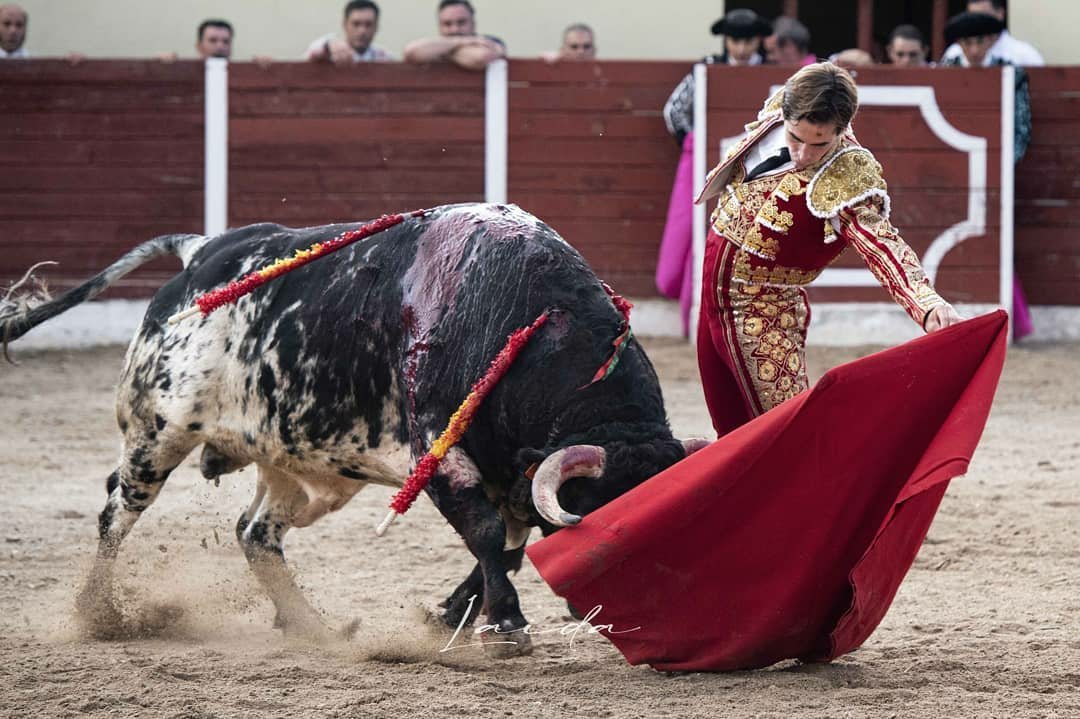 <a href="/CurrodelaCasa/">Prensa</a> en Almonacid de Zorita. 

📷 <a href="/AnaLaidaa/">Ana Laida</a>