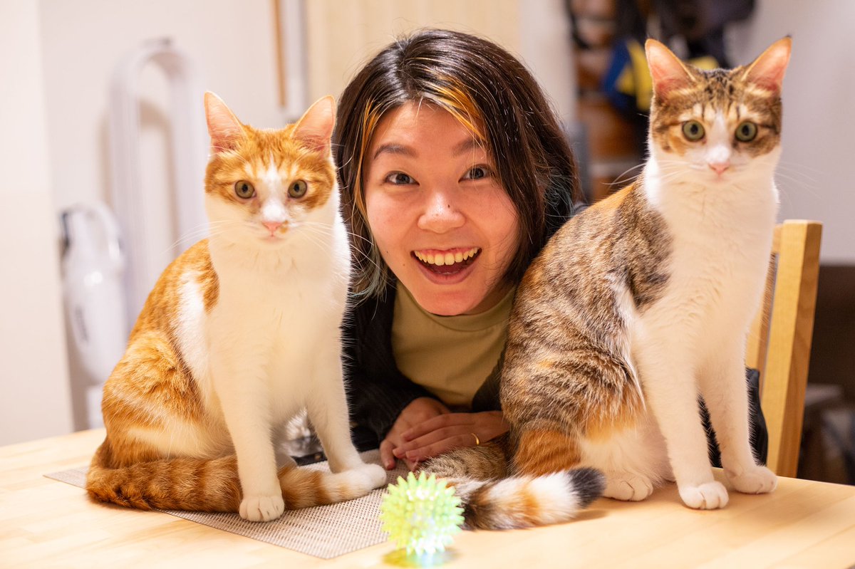 ট ইট র 白石慶子 猫のツナマヨも 1歳のお誕生日会 元野良猫 保護猫なので 正確な日にちはわからないけれど9月生まれです 人間だと高校生くらいかな 大きく成長したねー ねこ ネコ 猫 子猫 保護猫 猫好きさんと繋がりたい ツナとマヨ ツナマヨ