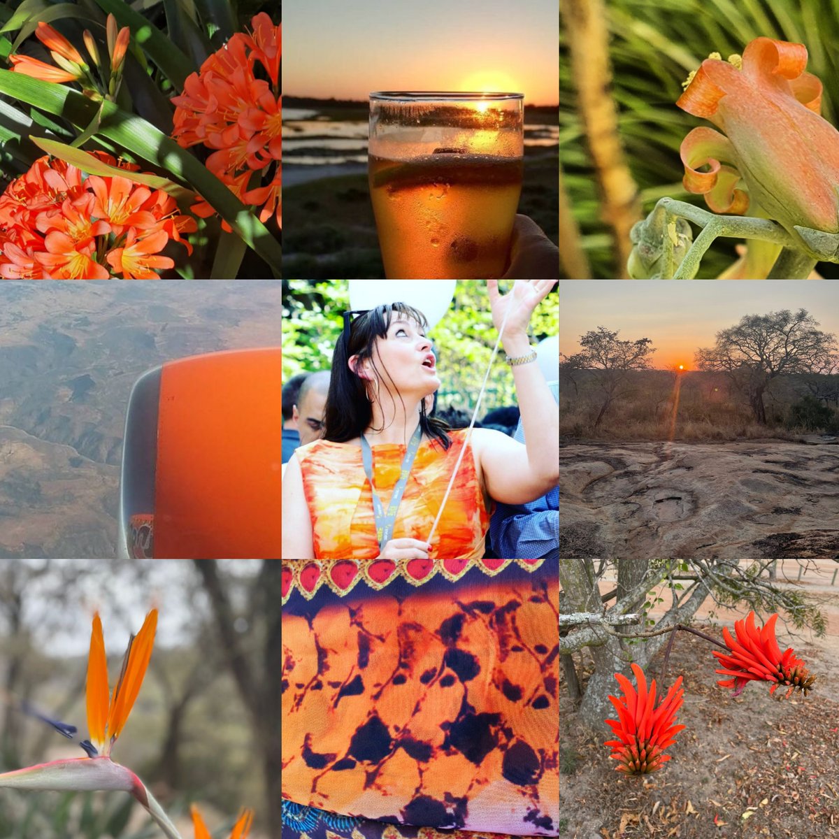 Come experience the vibrant colors of Spring and Summer in South Africa. The fields have never looked this good😍!
@SenseOFAfricaSA
#SouthAfricaIsTravelReady
#AmberForAfrica
@