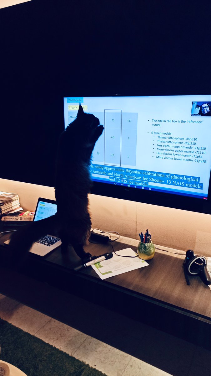 Otto is loving #palsea21
