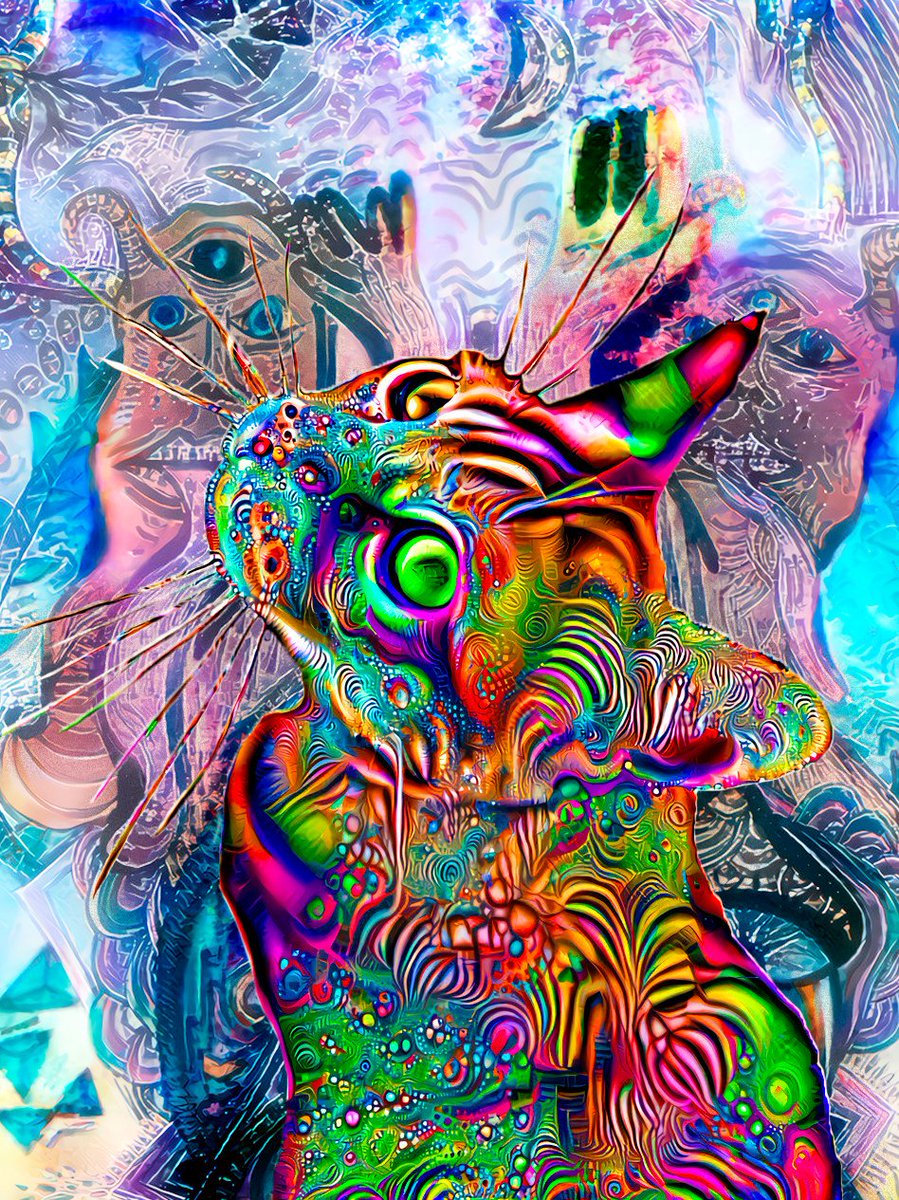 My Psychedelic Cat NFT tweet media