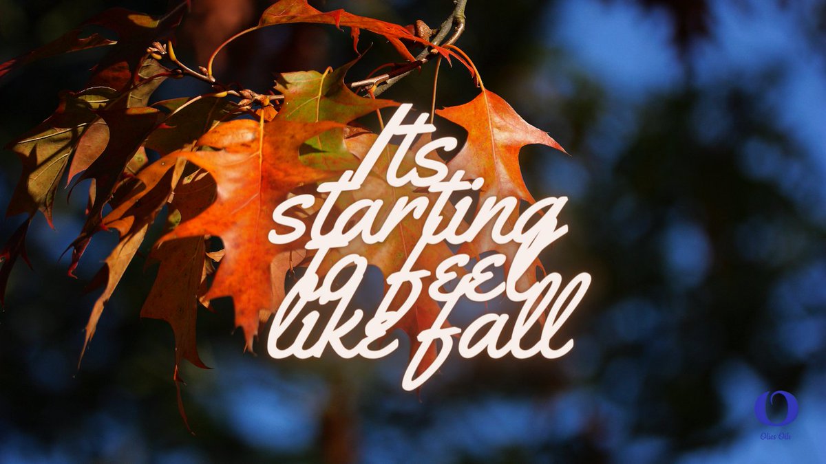 Yes and it's time to fall in love with Olies Oils Body care. Keeping your skin moisturized longer. Grab your favorites today.