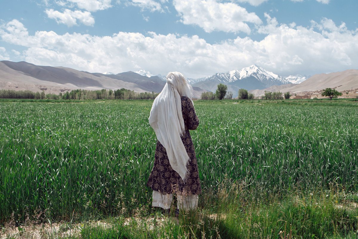 As #Afghanistan fades from the headlines, you can trust <a href="/emergency_ngo/">EMERGENCY NGO</a> hospitals to remain active in the country to assist those most in need, as they did since 1999. 

Last day to buy a masterful print from the limited ISHKAR collection for EMERGENCY  🇦🇫

ishkar.com/collections/em…
