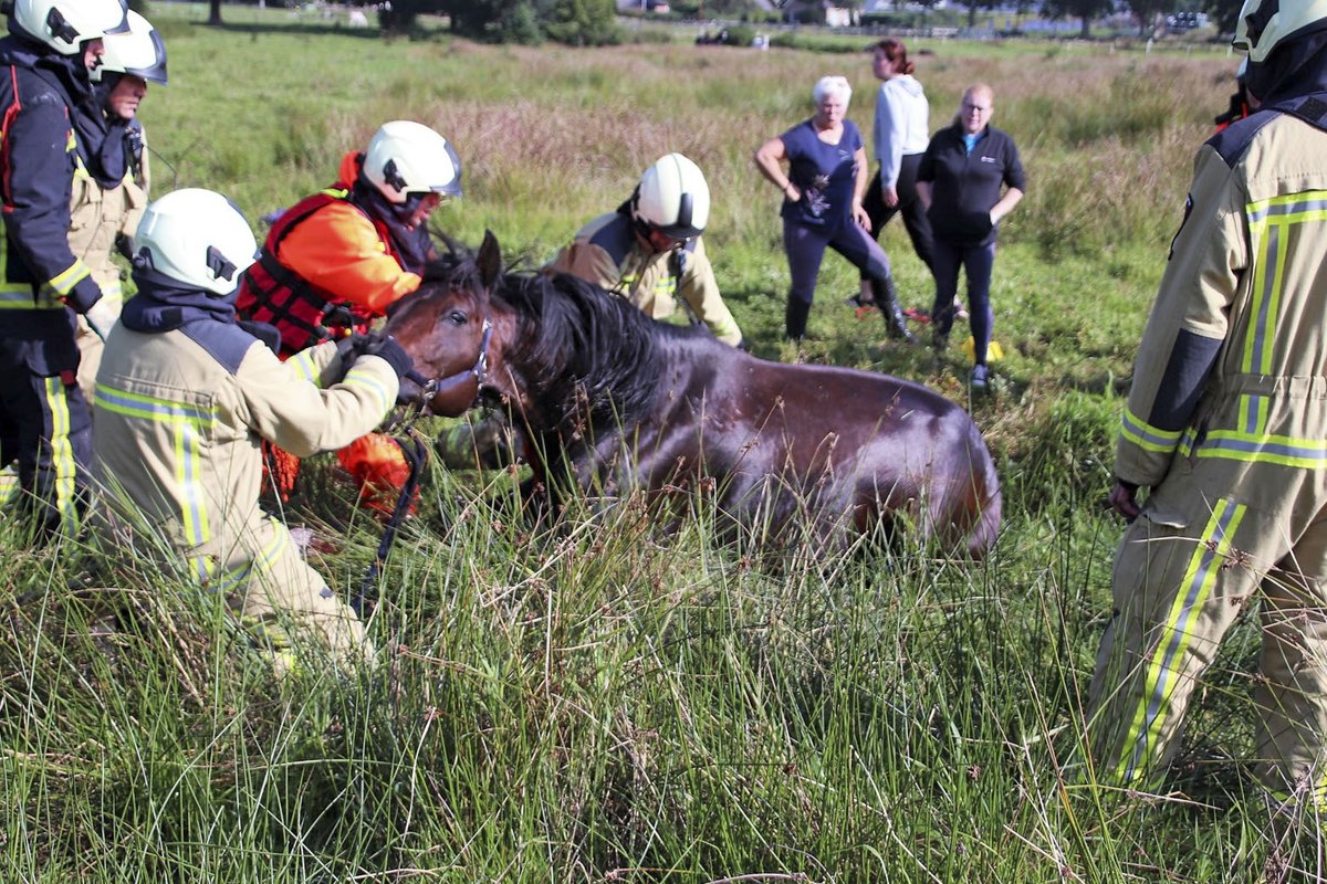 Brandweer van Rolde trekt paard weer op het droge. 112Drenthe.