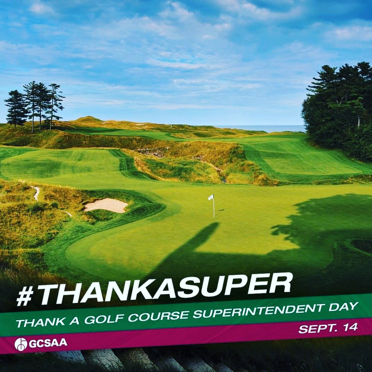 NFGCSA (@nfgcsa) on Twitter photo 