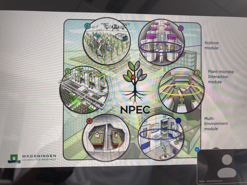 JoannettePolo's tweet photo. Photonics for agrifood, the 1st French - Dutch 🇳🇱🇫🇷 webinar started! With @PhotonicsNL  and @BzhP . Also @PhotonicsFrance  @WUR 
Stefan Koreneef kicked off and now 
Gerrit Polder is presenting the New Plant Phenotyping Center.@IAnetwerk @HollandHighTech https://t.co/32mdfglUmH