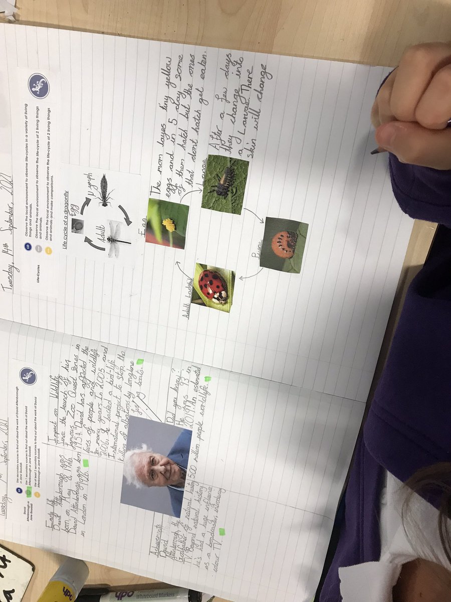 OJA_Brumby's tweet photo. Impressive research into life cycles in year 5 this afternoon. Presentation is a real focus for 5EJ this half term and they are cracking it! #lifecycles #presentationcounts https://t.co/m8n9I1xiDH