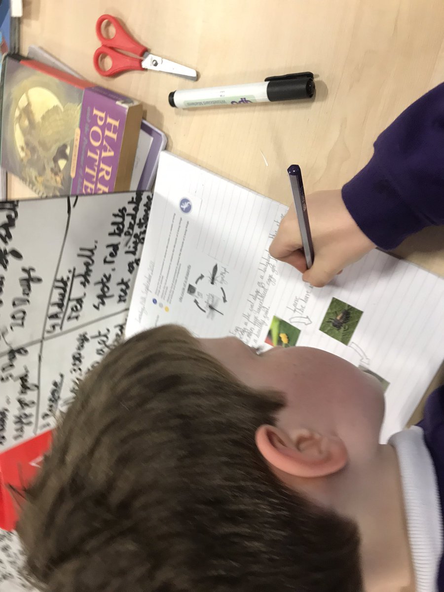OJA_Brumby's tweet photo. Impressive research into life cycles in year 5 this afternoon. Presentation is a real focus for 5EJ this half term and they are cracking it! #lifecycles #presentationcounts https://t.co/m8n9I1xiDH