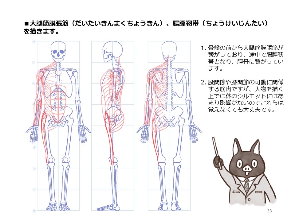 簡単マスター人体三面図(10/13)

腿の側面、裏側の筋肉を描き、そして正面側の筋肉も描いていきます。

PDF版のDLはこちら。
https://t.co/i3cTwrnoDS 