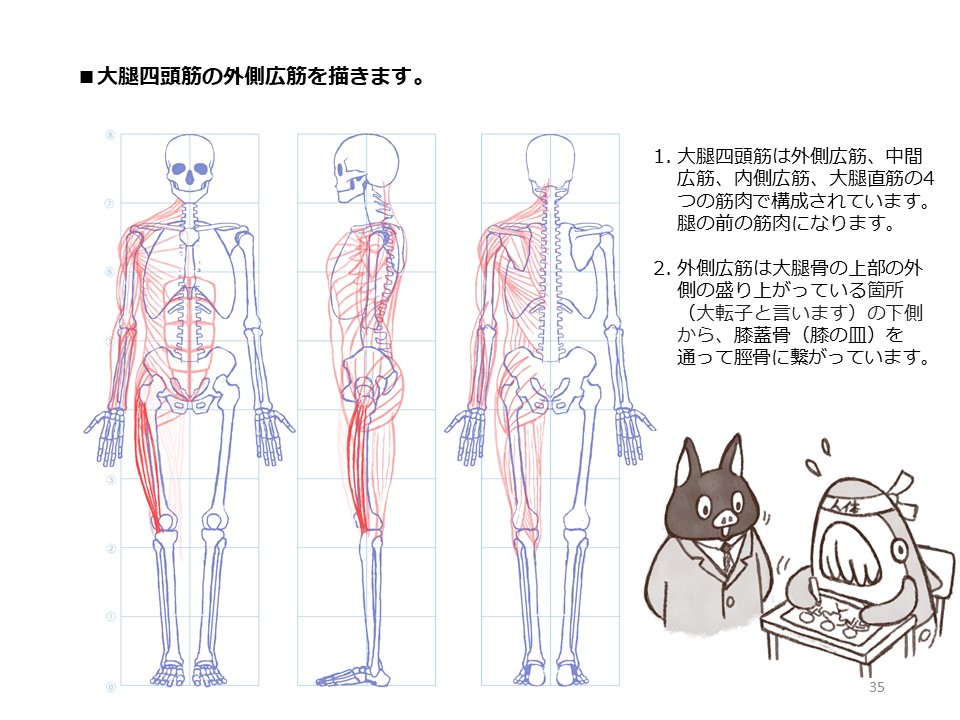 簡単マスター人体三面図(10/13)

腿の側面、裏側の筋肉を描き、そして正面側の筋肉も描いていきます。

PDF版のDLはこちら。
https://t.co/i3cTwrnoDS 