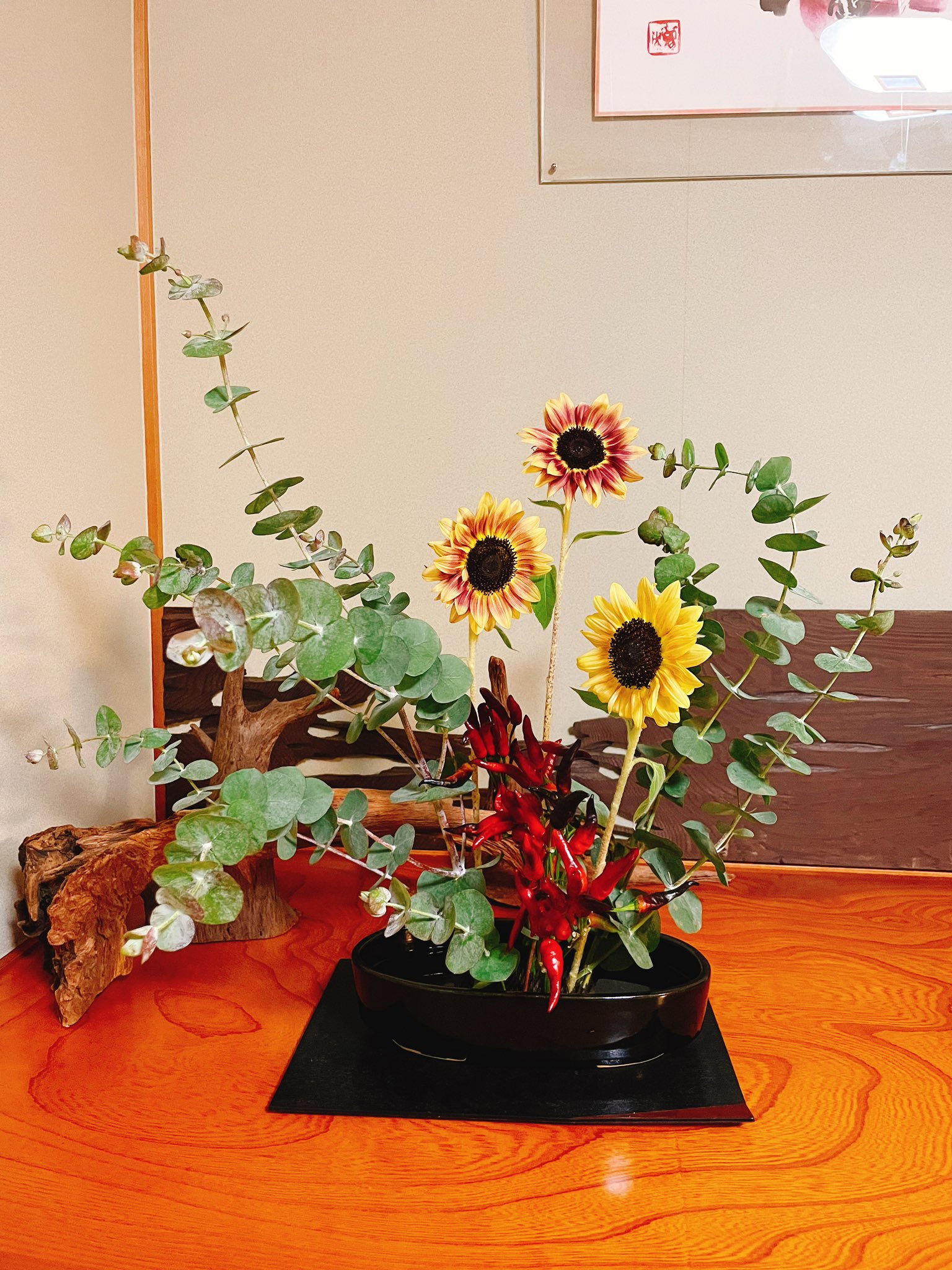 تويتر 江口いちご على تويتر 生け花 今日の花材はユーカリ ひまわり 唐辛子 なんだか色々キテレツだなぁと思ったけど 唐辛子を使う事はよくあるみたい 今日もとても勉強になりました T Co Qtyeekczu9