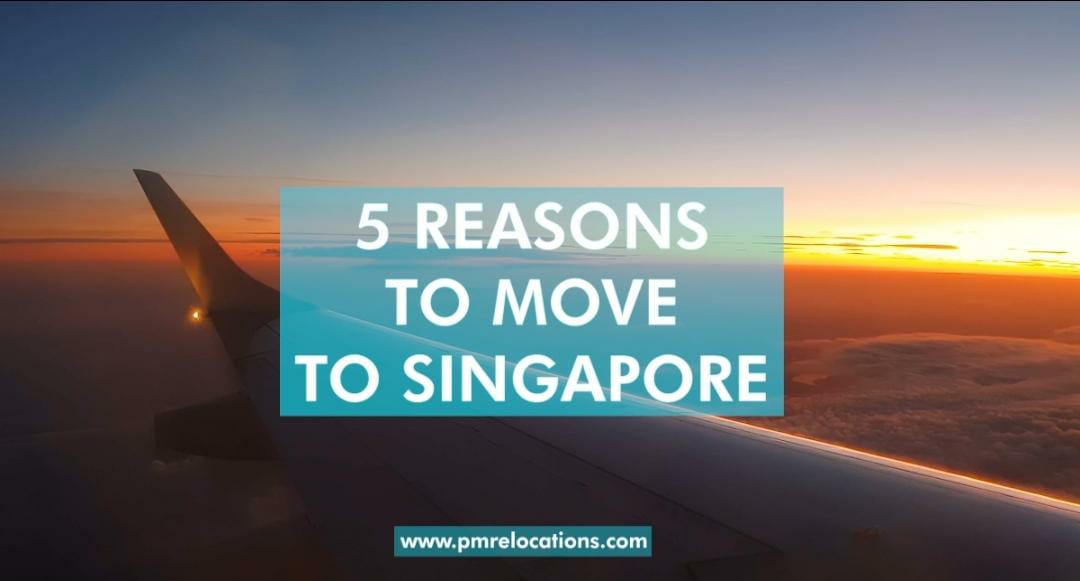 Pmrelocations's tweet photo. For those thinking to move abroad, Singapore is one country that is certainly worth considering.
Here are our top 5 reasons for #expats to move to #Singapore!
#PMR #AskPMR #Moving #Relocation #QuickprepwithPMR #movingtips #changiairport #relocationassistance #move https://t.co/lYhW19UeW2