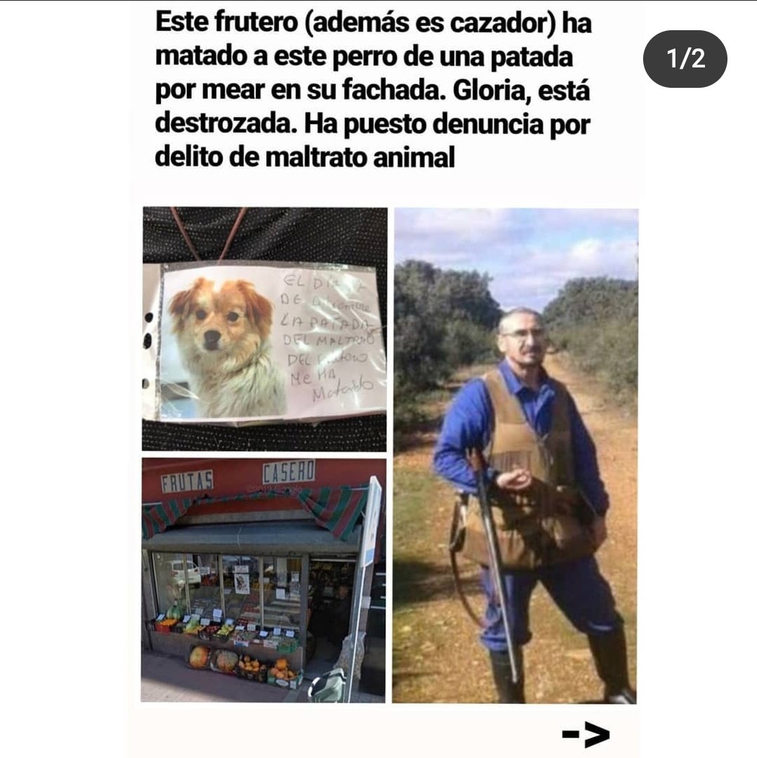 Natsuki2105's tweet photo. En 2020 un frutero mató a un perro así que me paso a recordar que no apoyéis esta frutería. https://t.co/1LRyL2T9hH