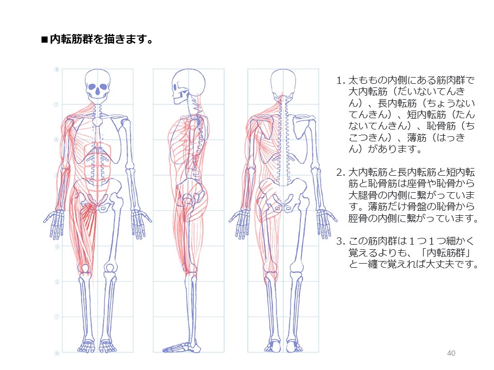 簡単マスター人体三面図(11/13)
引き続き、腿の正面側、そして内側の筋肉も描いていきます。
PDF版のDLはこちら。
https://t.co/i3cTwrnoDS