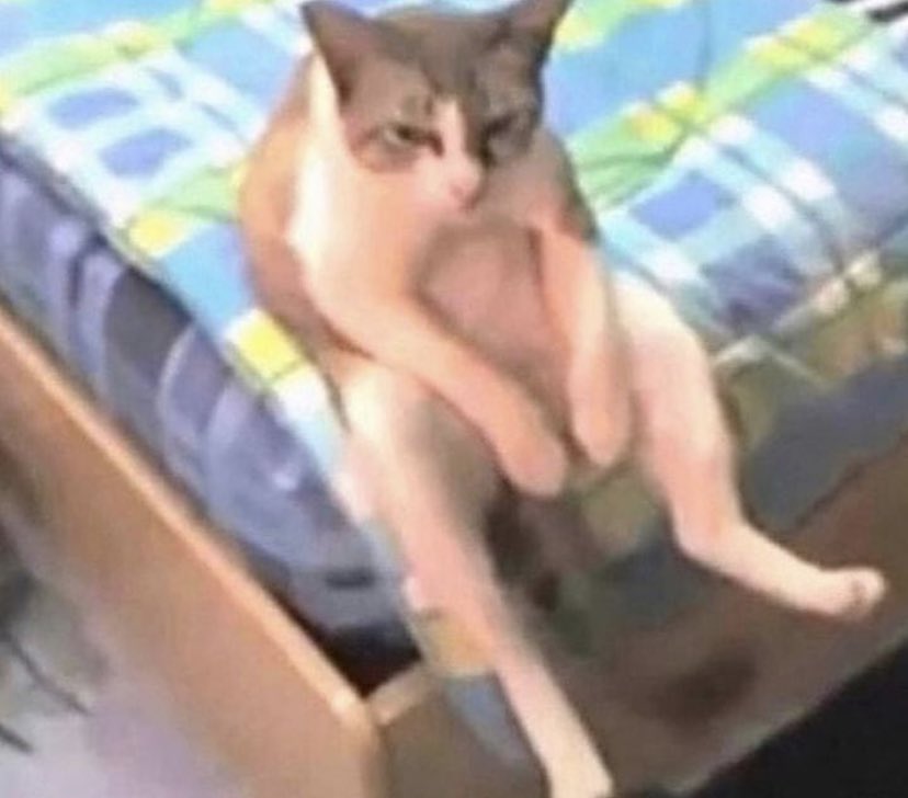 Blessed Esports tweet media