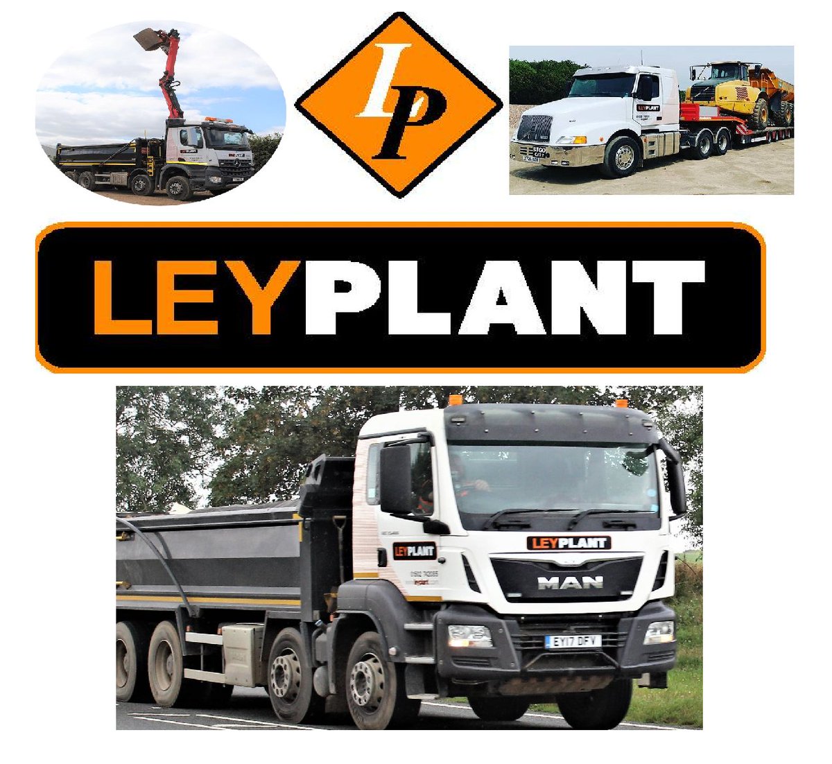 Ley Plant Ltd (@ley_plant) / Posts / X