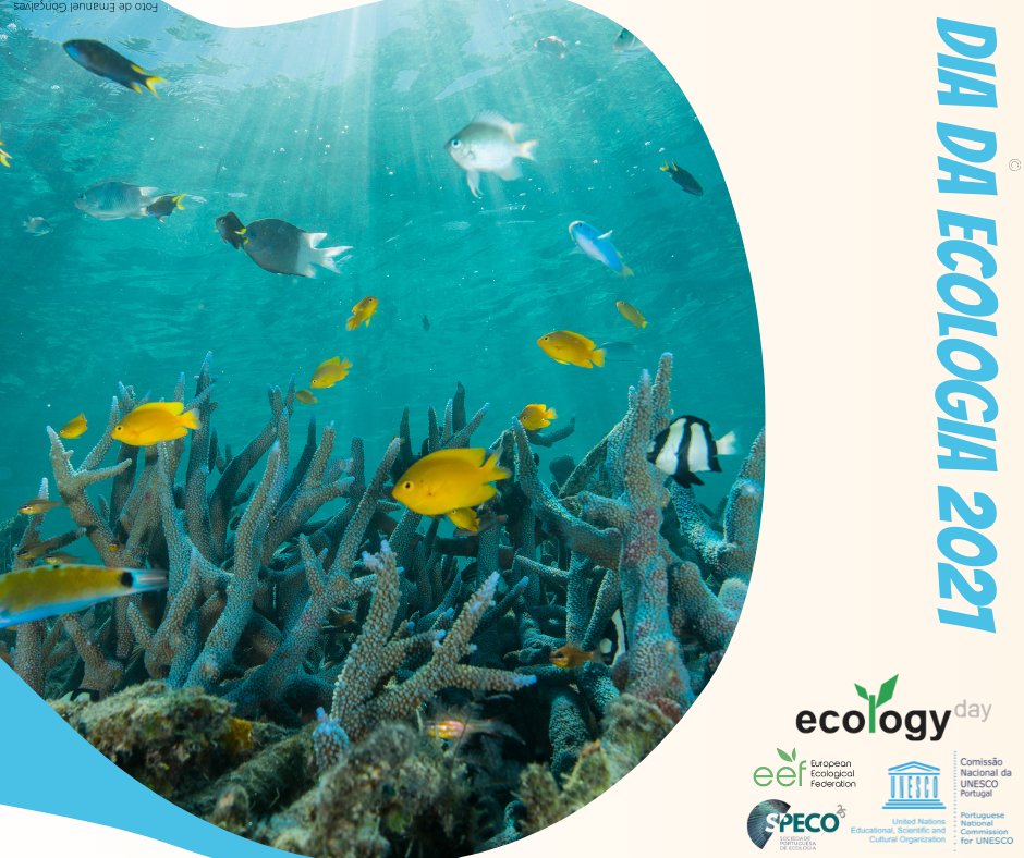 PortugalEcology's tweet photo. Hoje é #DiadaEcologia! 
Leia a contribuição de @maloucao no @Publico em: https://t.co/HfoFRprXxq https://t.co/gz6Z6Wu4A1