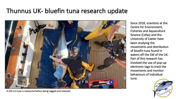 ThunnusUK's tweet photo. In 2018 and 2019 we deployed 33 @Tags4Wildlife MiniPATs on #bluefin #tuna off SW England and Wales with funding from @DefraGovUK, @WG_fisheries and the #EMFF. 

The data show broad movements in the EAtl. and are summarised in this short blog.  

BLOG: https://t.co/qX2kJBEuyi https://t.co/F8xpq557k2