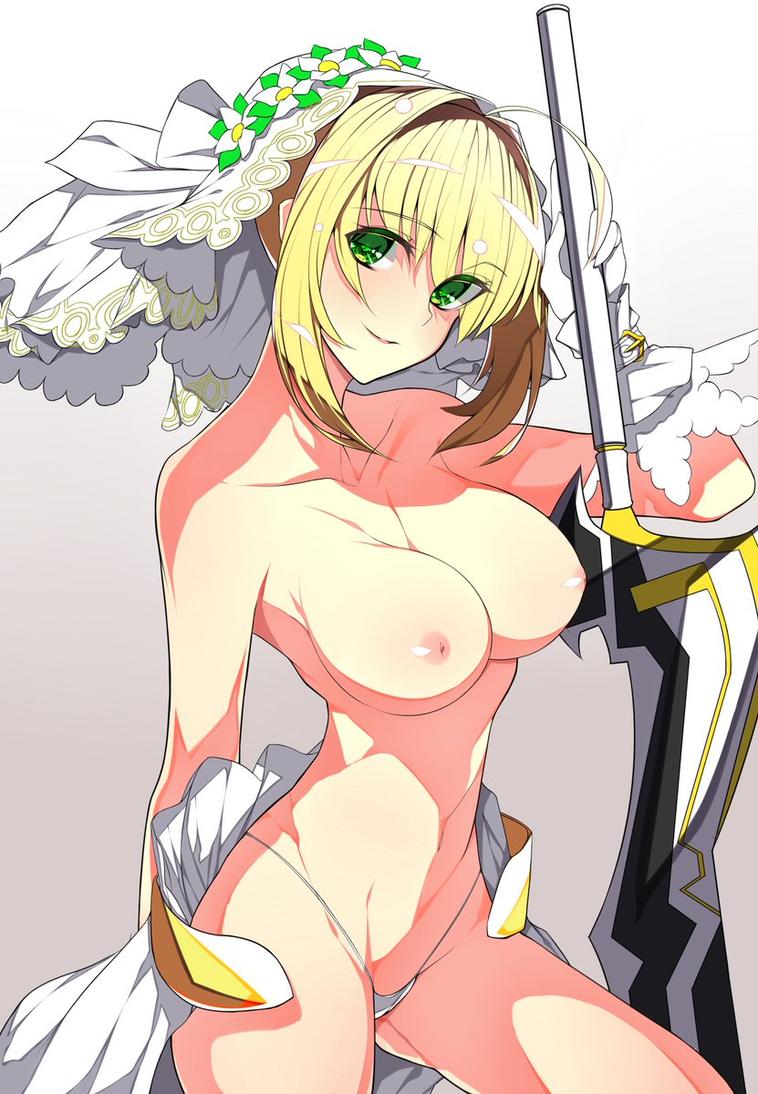 以前pixivに投稿した嫁ネロ 