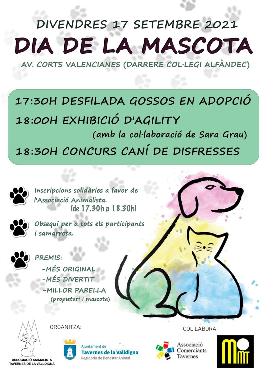 🆕 Tavernes celebra el Dia de la Mascota

▶️ L’Ajuntament @tavernesv i l’Associació Animalista de Tavernes @associacioanimalistatavernes han organitzat una divertida jornada amb concurs caní de disfresses, desfilada de gossos per a adopció i una exhibició d’agility @sweetsarasg