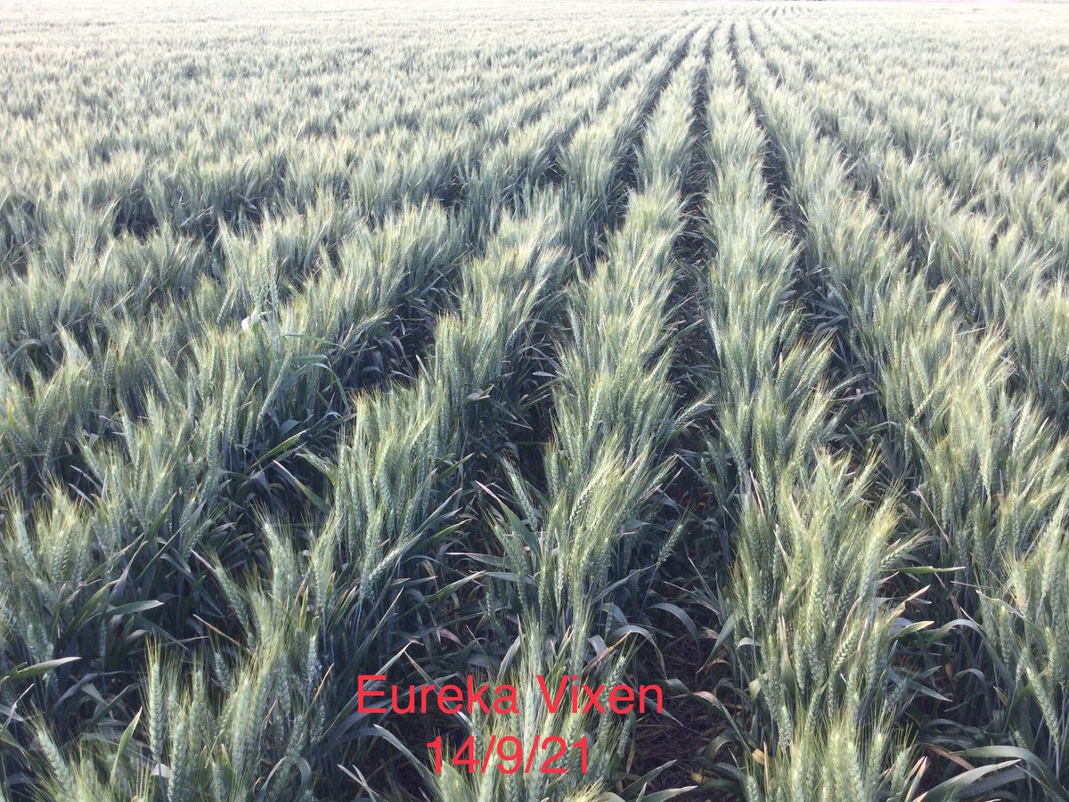 ⁦<a href="/InterGrain1/">InterGrain</a>⁩