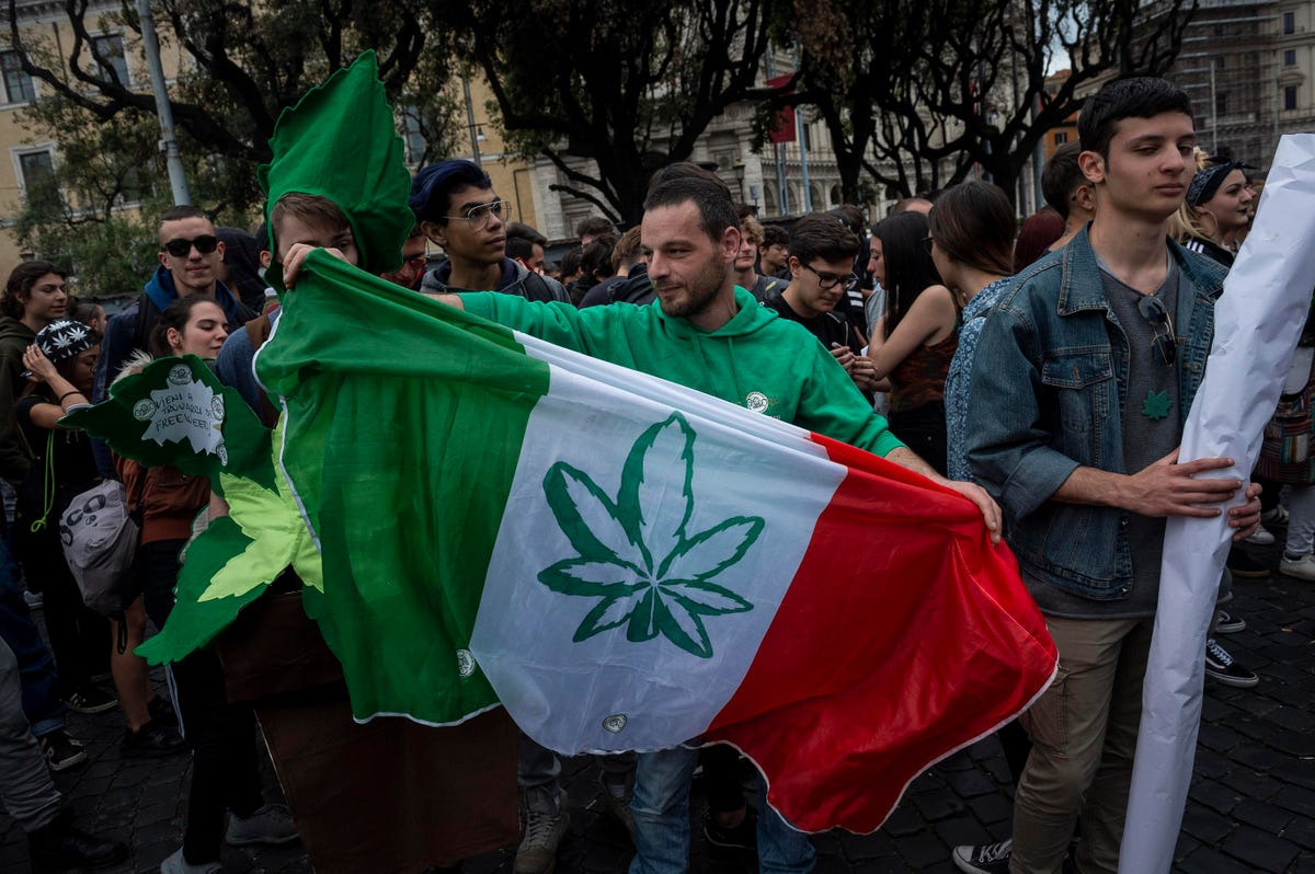 FederacionFAC's tweet photo. #Italia: El referéndum tiene como objetivo despenalizar el cultivo de marihuana y eliminar las penas por posesión de cannabis mediante la modificación de varios artículos de la ley de narcóticos. 

https://t.co/Vsli62WDLj https://t.co/w3KnqBKpZF