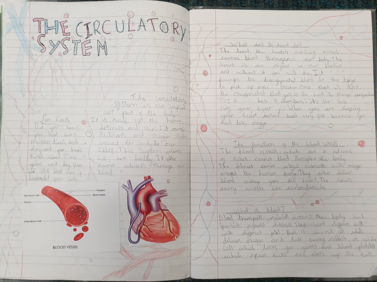 Rowlatts_TMET's tweet photo. Miss Bains and Mrs Snell are so proud of the Year 6s and their hard work during science lessons. Their double page spreads about the circulatory system are wonderfulβ #rmscience #curiosity #research https://t.co/E1PxNYRRk0