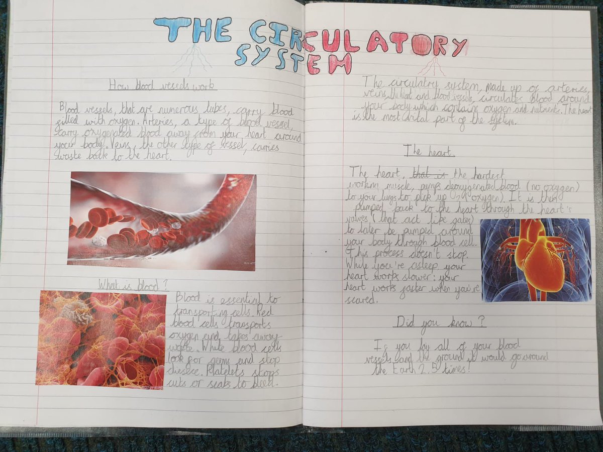 Rowlatts_TMET's tweet photo. Miss Bains and Mrs Snell are so proud of the Year 6s and their hard work during science lessons. Their double page spreads about the circulatory system are wonderfulβ #rmscience #curiosity #research https://t.co/E1PxNYRRk0
