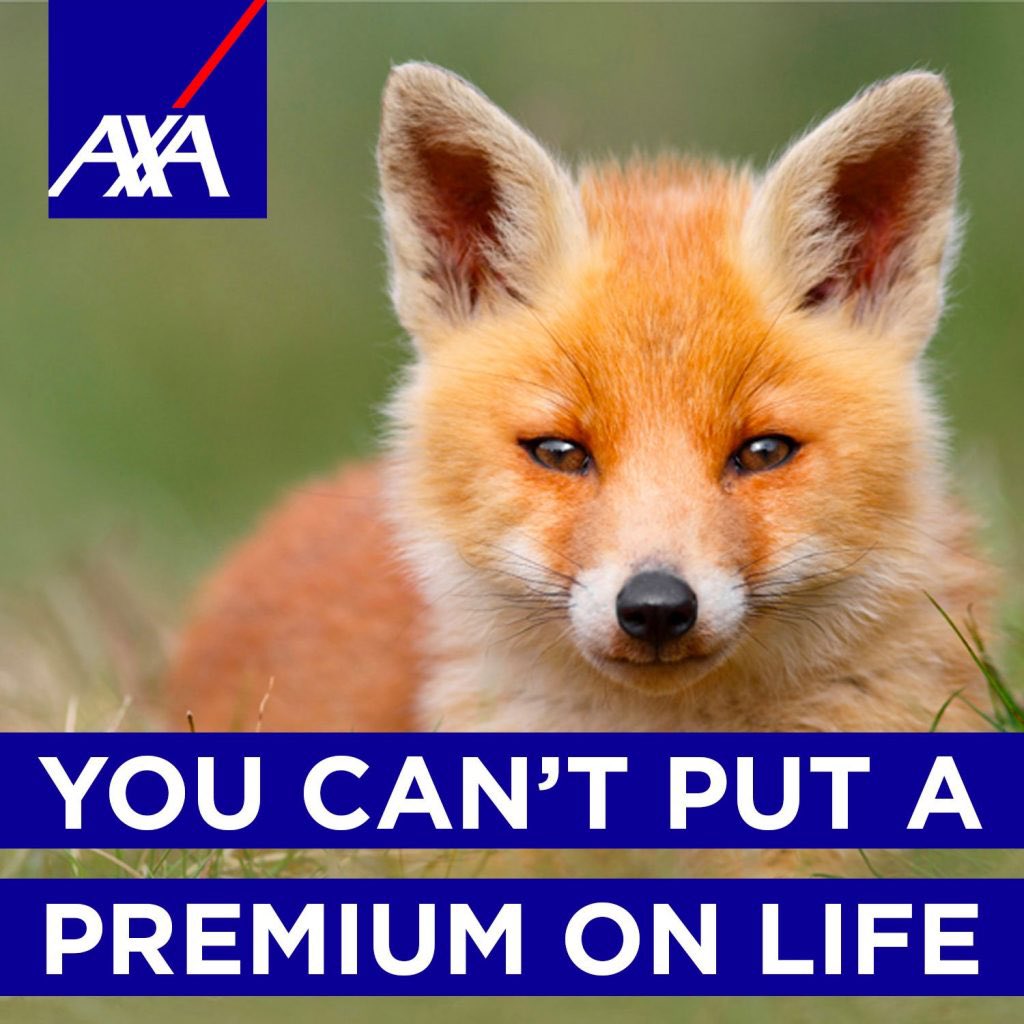 If you support sabs out on the field, you should be supporting this demo. 

Shutting down hunts is our priority. 

Without tools like insurance they’re crippled. 

Let’s cut them at the root. 

3pm -5pm Friday 17th September 2022.

20 Gracechurch Street, London, EC3V 0BG.