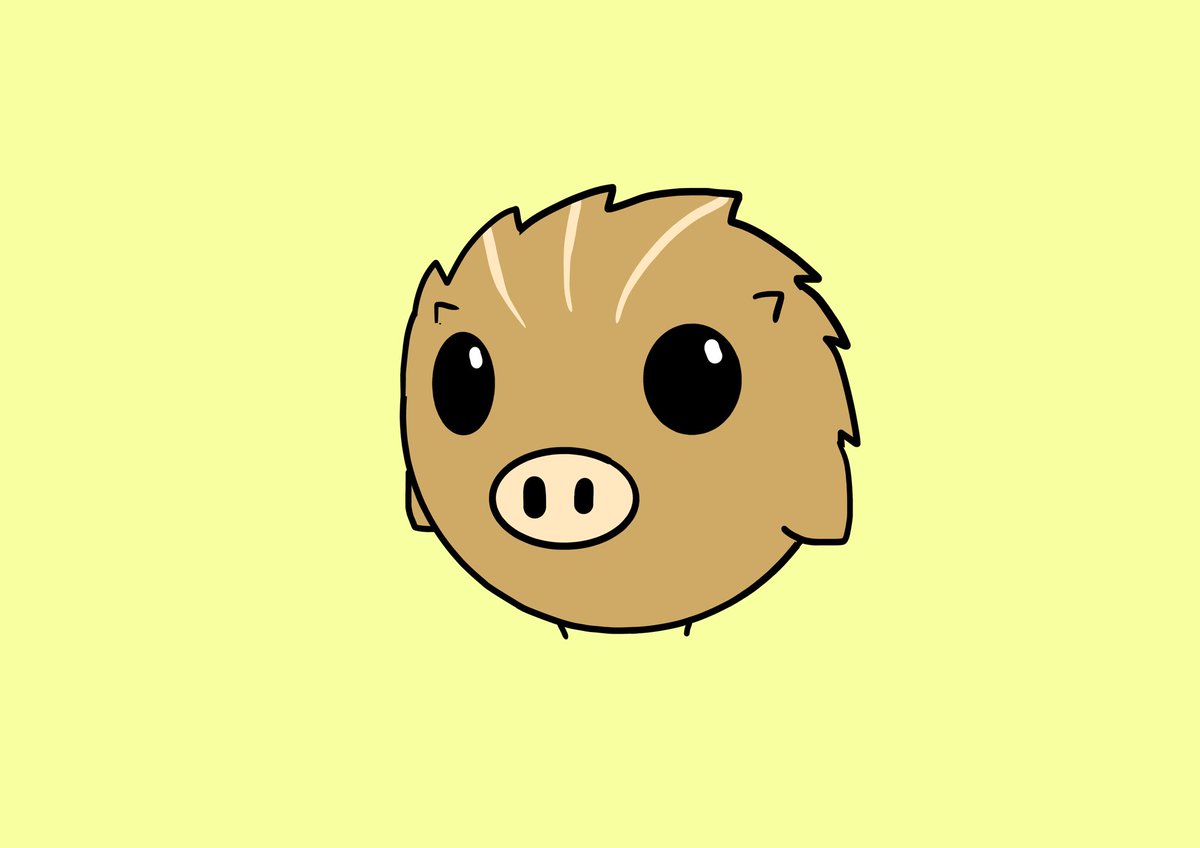 no humans simple background solo yellow background animal focus black eyes boar  illustration images