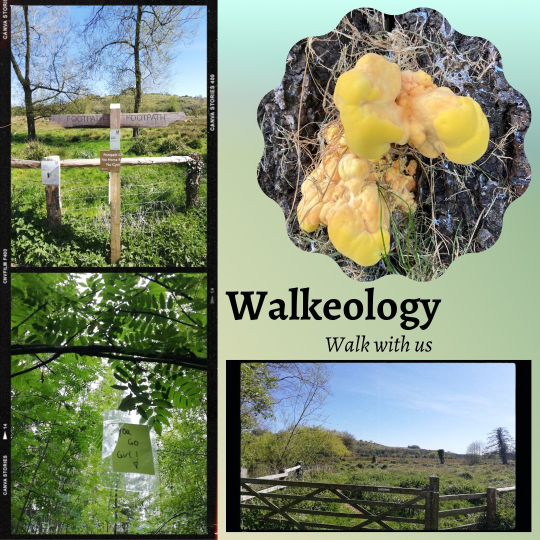 There’s still time to book a place at our #Walkeology event this Sunday. We’ve been enjoying our walks and collecting what we see and hear - it’s amazing what you notice if you just stop and focus.

What do you notice on your walks?

#HODs #Winchester #Hampshire