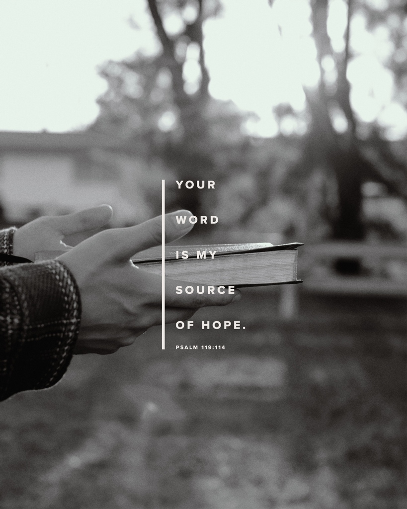 Better is one true word from God than a thousand pretty lies.

How have you personally found hope through God’s Word?
