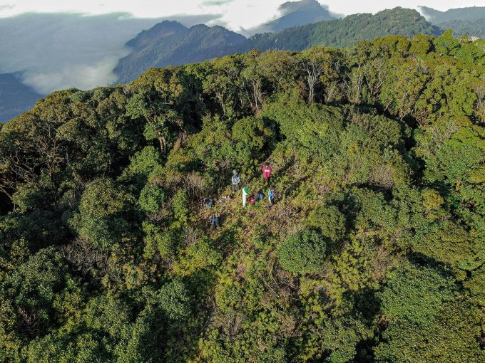 vietmountains's tweet photo. Pu Xai Lai Leng is considered the highest mountain in Nghe An province and higher than all other mountains of the Truong Son range. 
https://t.co/ou6jkvv4dE
#vietmountains #nature #hiking #trekking #adventure #naturephotography #mountainview #mountainscape #explore #wildlife https://t.co/aGRXSEoimZ