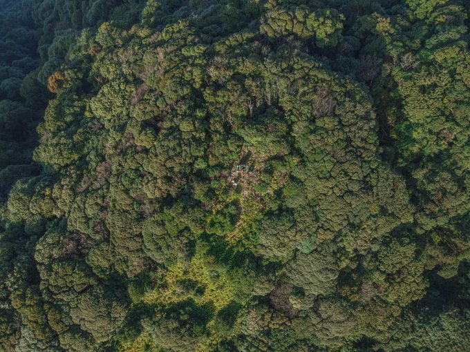 vietmountains's tweet photo. Pu Xai Lai Leng is considered the highest mountain in Nghe An province and higher than all other mountains of the Truong Son range. 
https://t.co/ou6jkvv4dE
#vietmountains #nature #hiking #trekking #adventure #naturephotography #mountainview #mountainscape #explore #wildlife https://t.co/aGRXSEoimZ