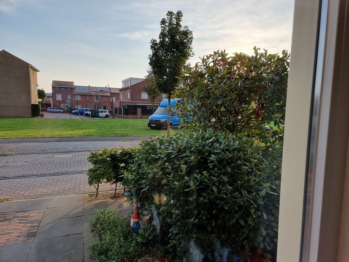 Goedzo <a href="/albertheijn/">Albert Heijn</a> rijdt het grasveld maar stuk.