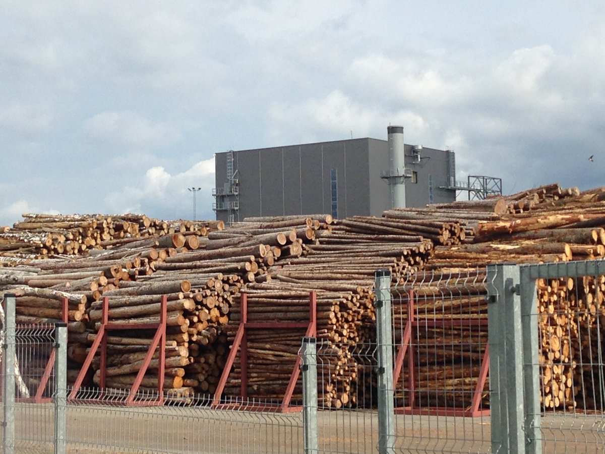 robin_wood's tweet photo. Greenwashing Award to @OrstedDK: Burning wood in large power plants? No way! Tomorrow we &amp; other European NGOs will hand over the "Burning Wood Award" to the Danish energy company.
https://t.co/sn8dIsoecm
#BurningWoodAward
#StopFakeRenewables
#BiomassPowerON
@2021Biomass https://t.co/7CoIRCmqBh