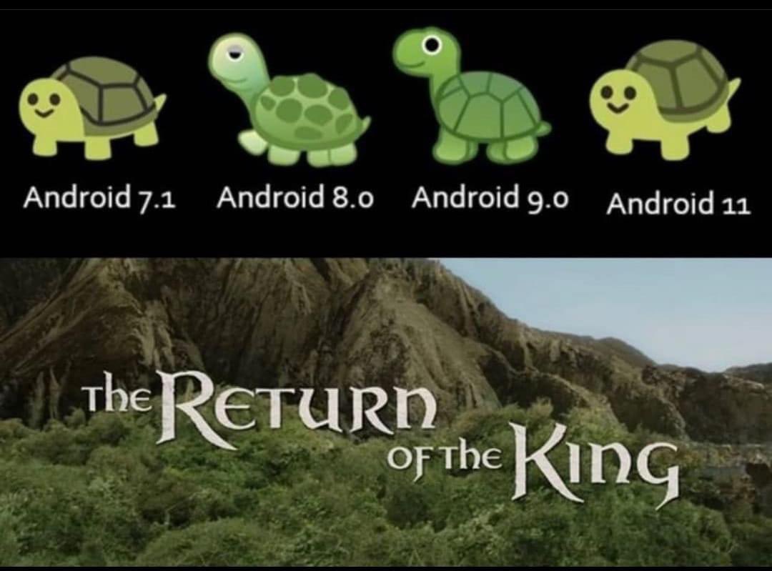 WholesomeMeme's tweet image. 