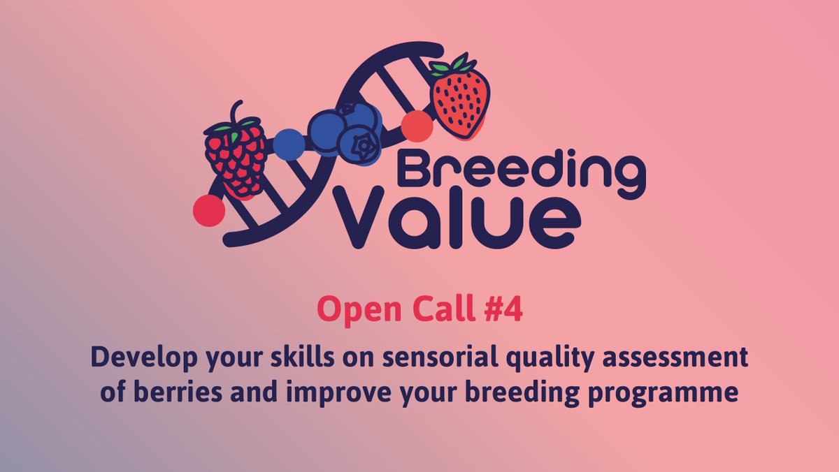 iamaya_sci's tweet photo. @BreedingValue Open Call #4: Calling on all European berry breeders and organisations working on strawberry, raspberry or blueberry. Learn more about sensory evaluation of berries! Apply for funding here: https://t.co/iKyARU3m1r #breedingvalueEU #berryproduction @HorizonEU https://t.co/uRV1Tpi8jR