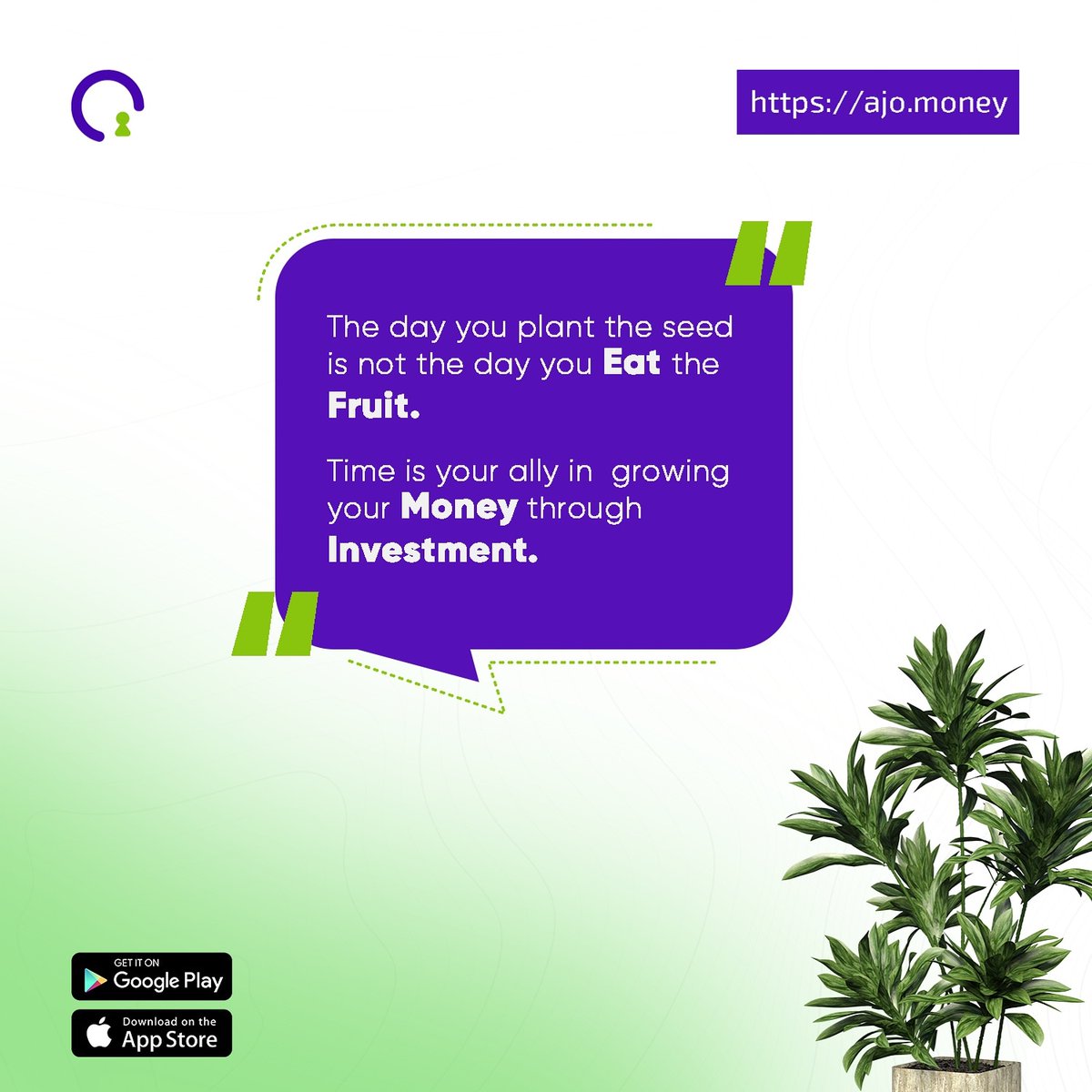 tyms_io's tweet photo. Don't be impatient with your investments. Give it time to grow.
#AjoMoney #savings #ajo #investments #financialmanagementtips https://t.co/ZCFOCO1Lwd