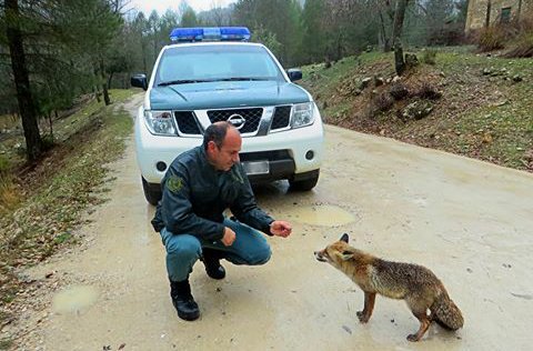Guardia Civil tweet media