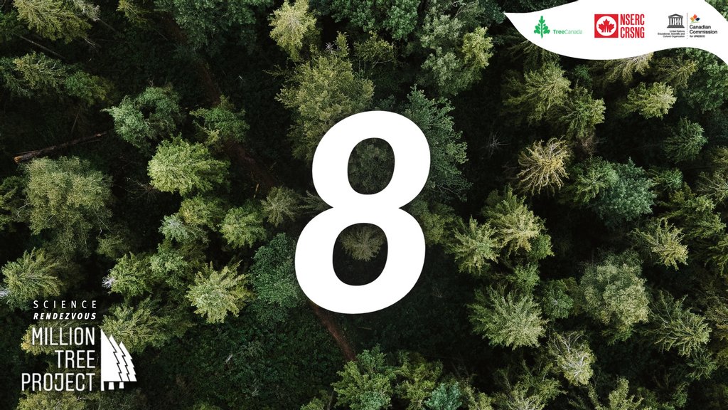 Science Rendezvous (@sci_rendezvous) on Twitter photo We’re 8 days away from the #MillionTreeProject launch on <a href="/TreeCanada/">Tree Canada</a>’s #NationalTreeDay on September 22! Stay tuned as we countdown with #STEAMGreen trivia, reading recs and activities!
<a href="/NSERC_CRSNG/">NSERC / CRSNG</a> <a href="/CCUNESCO/">CCUNESCO</a> @LE_Carmichael We’re 8 days away from the #MillionTreeProject launch on <a href="/TreeCanada/">Tree Canada</a>’s #NationalTreeDay on September 22! Stay tuned as we countdown with #STEAMGreen trivia, reading recs and activities!
<a href="/NSERC_CRSNG/">NSERC / CRSNG</a> <a href="/CCUNESCO/">CCUNESCO</a> @LE_Carmichael