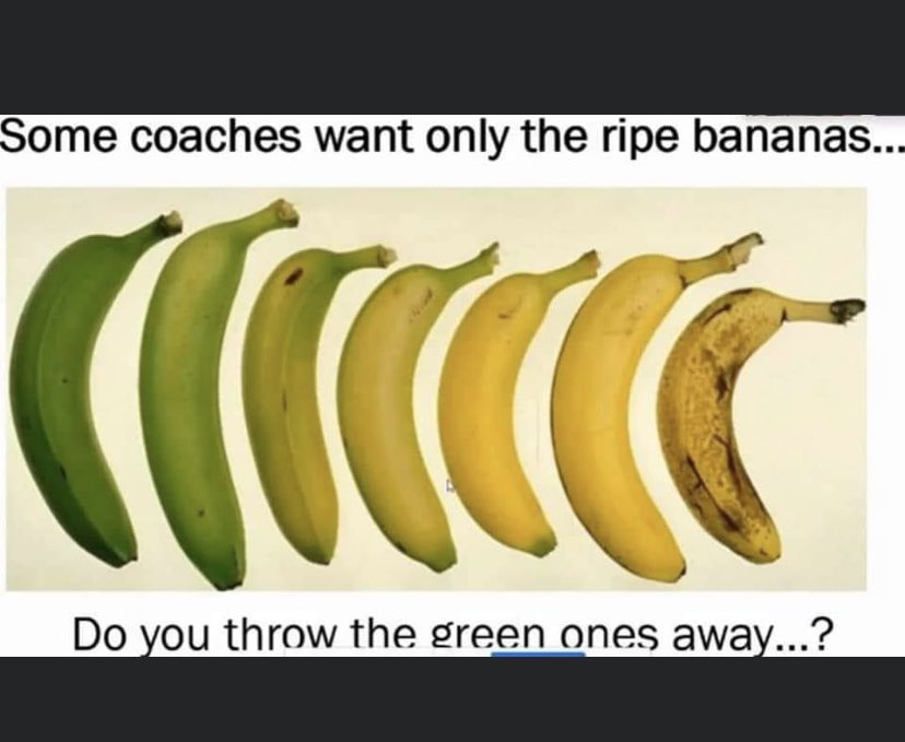 TuukkaTSalonen's tweet photo. @_ToddBeane Would you throw the green ones out? https://t.co/K7lapc0FE9